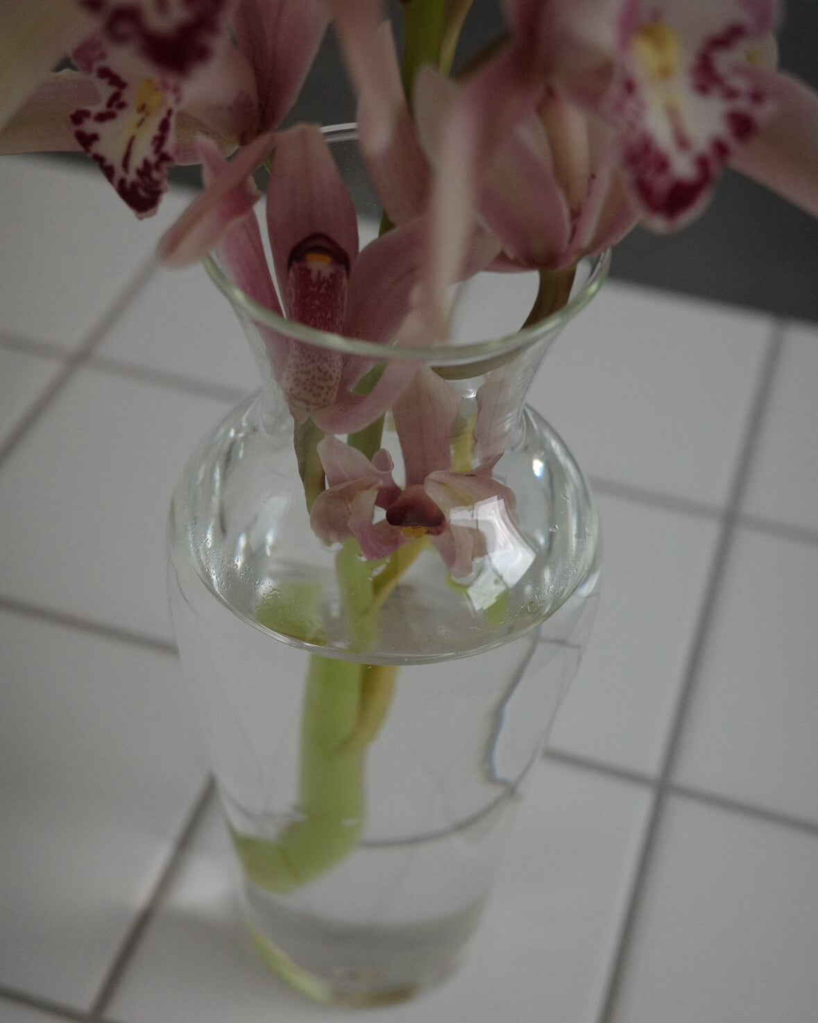 2025ssフラワーベース