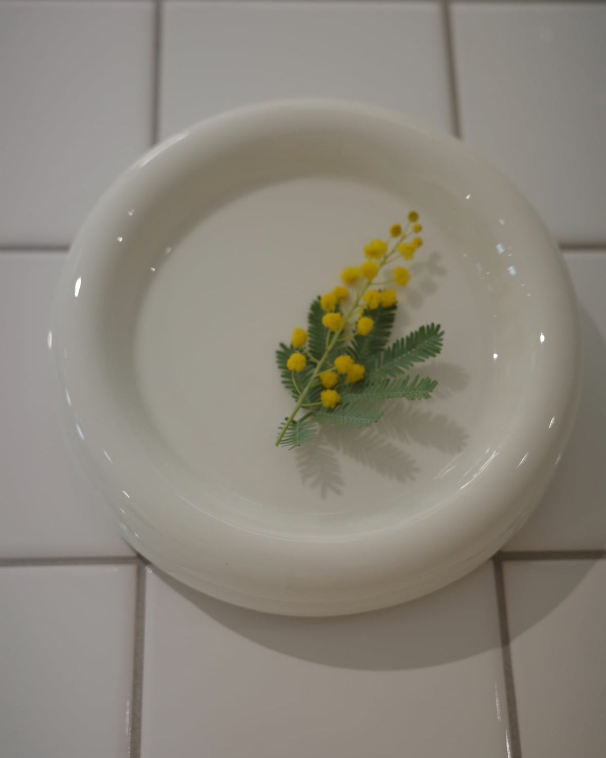 ラウンドプレート（S）